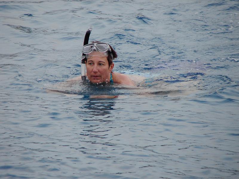 Schnorchelausflug 174